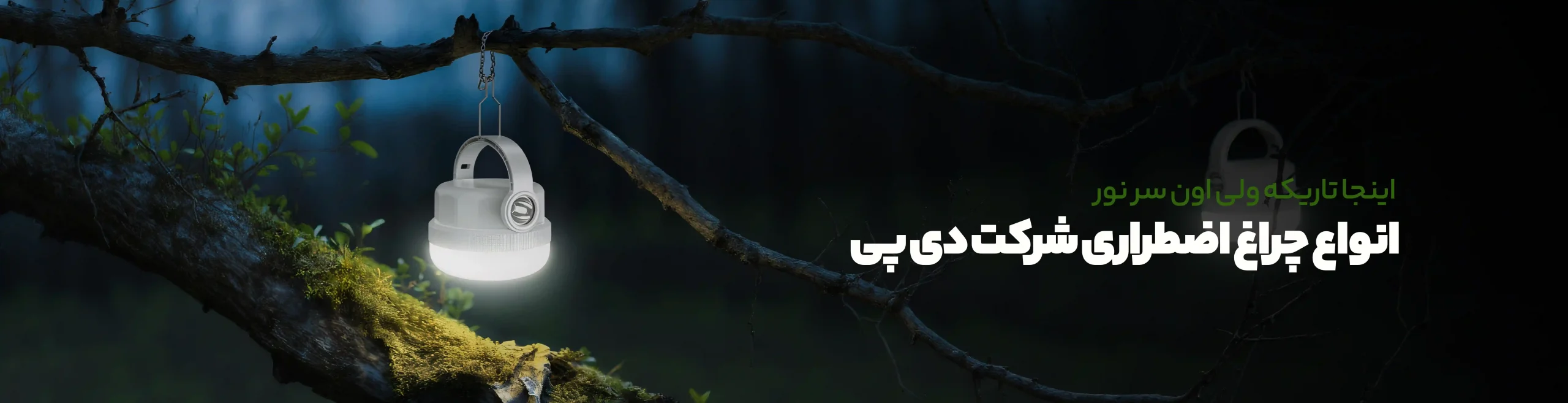 دی پی scaled