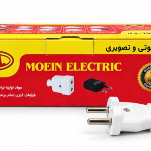 دو شاخه تخت معین